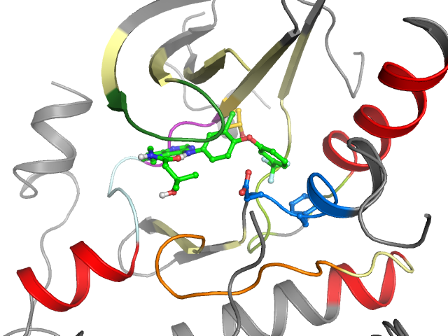 The orthosteric binding pocket
