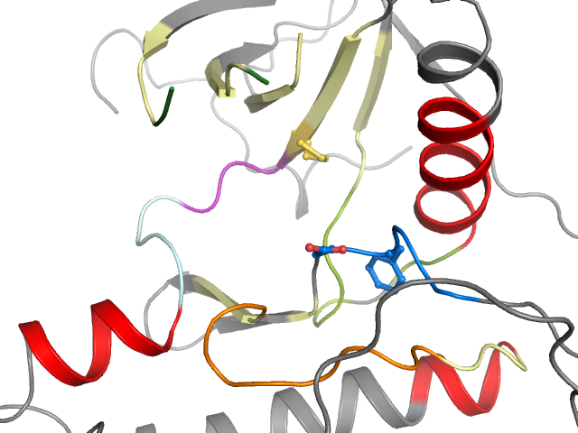 The orthosteric binding pocket
