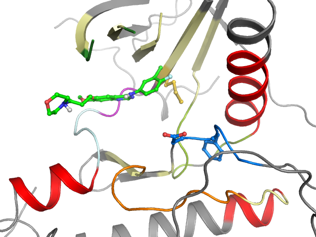 The orthosteric binding pocket