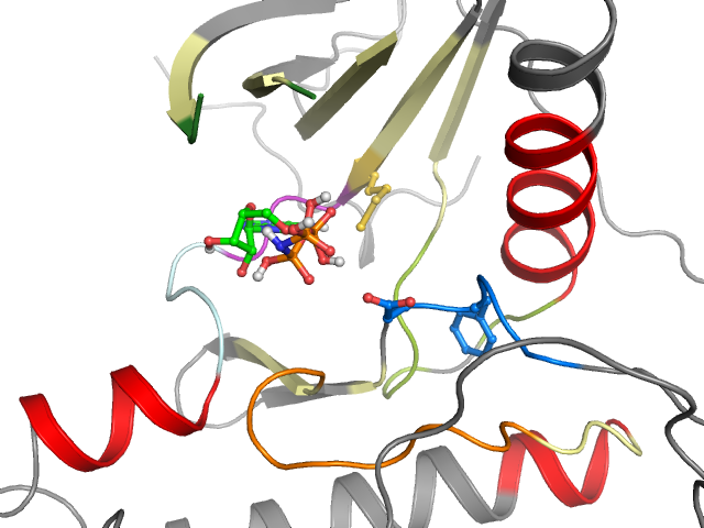 The orthosteric binding pocket