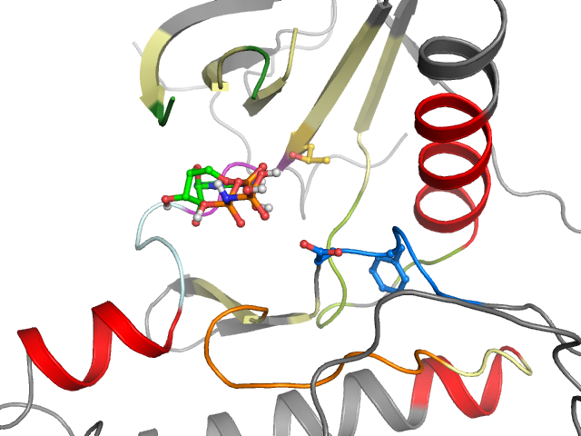 The orthosteric binding pocket