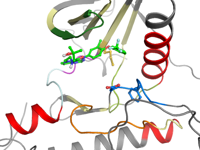 The orthosteric binding pocket