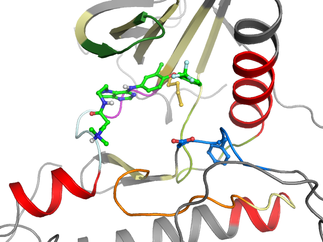 The orthosteric binding pocket