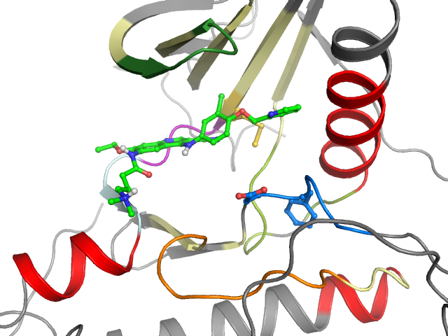 The orthosteric binding pocket
