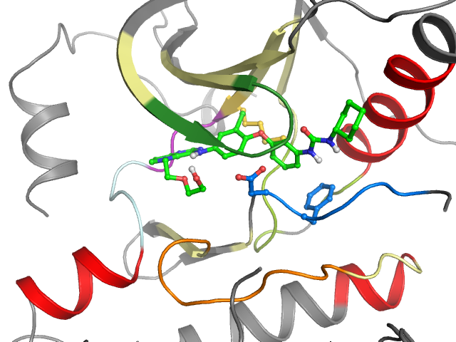 The orthosteric binding pocket