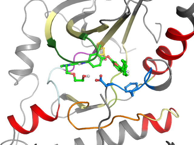 The orthosteric binding pocket