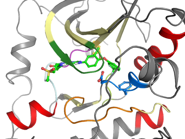 The orthosteric binding pocket