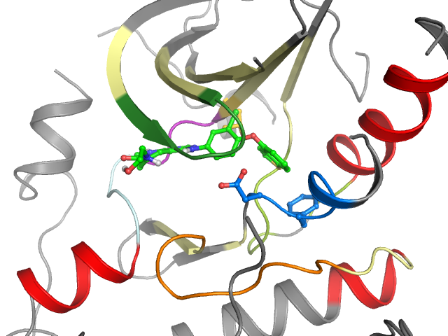 The orthosteric binding pocket