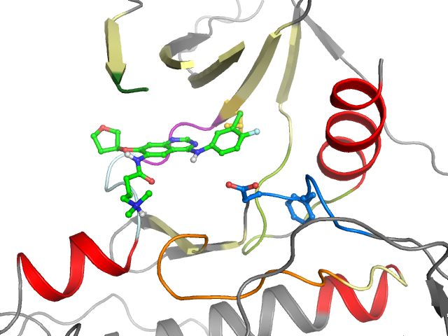 The orthosteric binding pocket