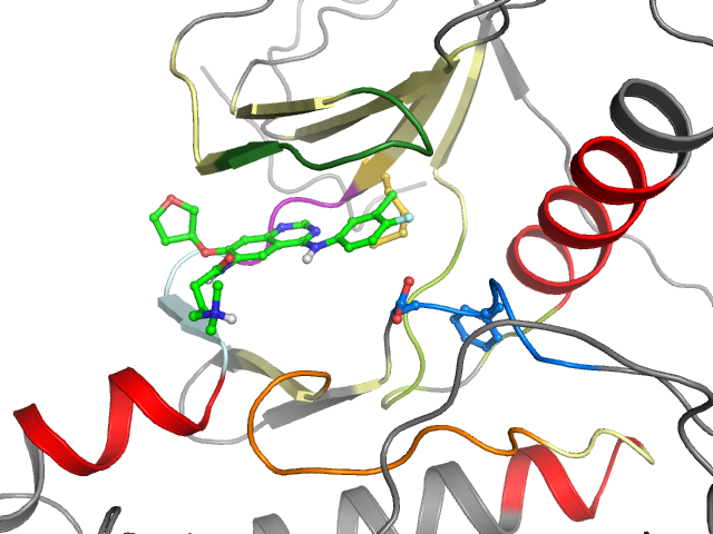 The orthosteric binding pocket