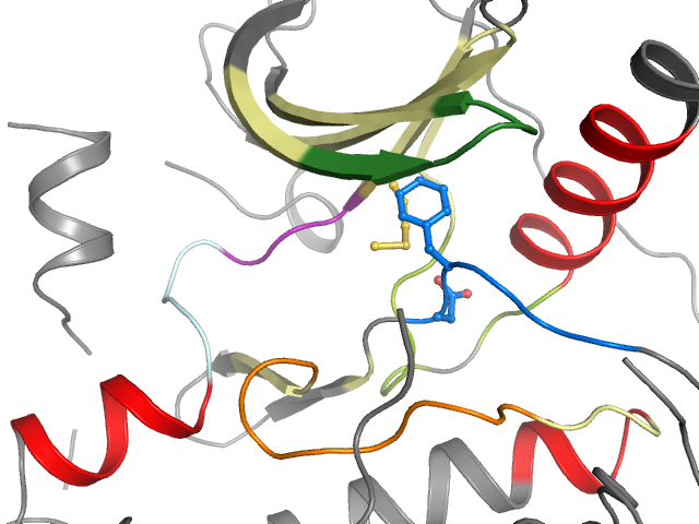 The orthosteric binding pocket