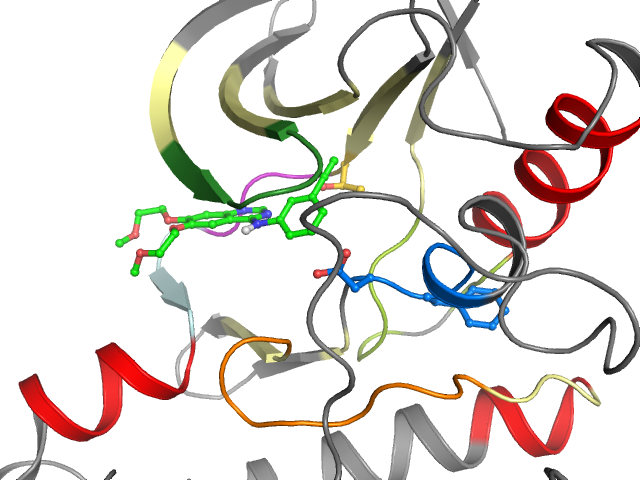 The orthosteric binding pocket