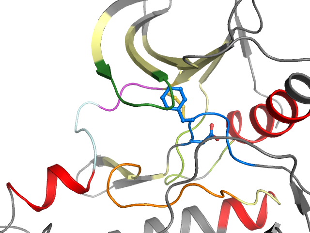The orthosteric binding pocket