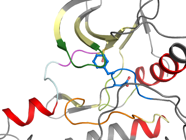 The orthosteric binding pocket