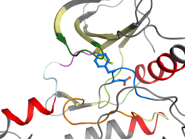 The orthosteric binding pocket