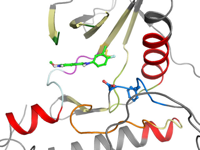 The orthosteric binding pocket
