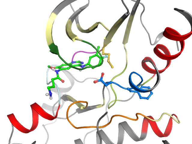 The orthosteric binding pocket
