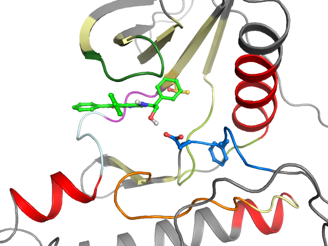 The orthosteric binding pocket