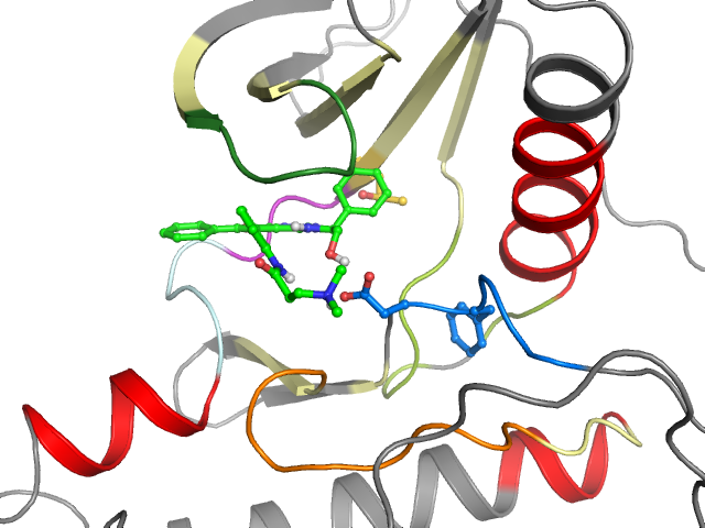 The orthosteric binding pocket