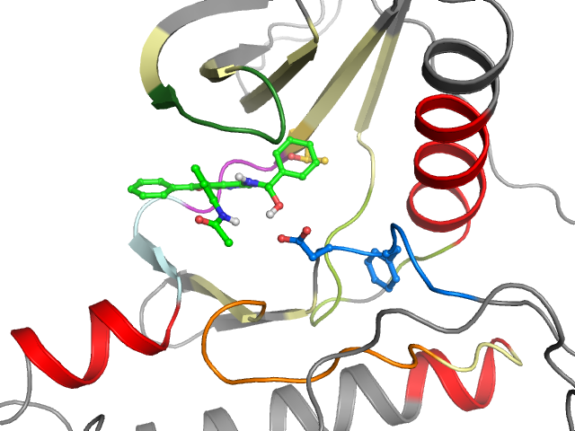 The orthosteric binding pocket