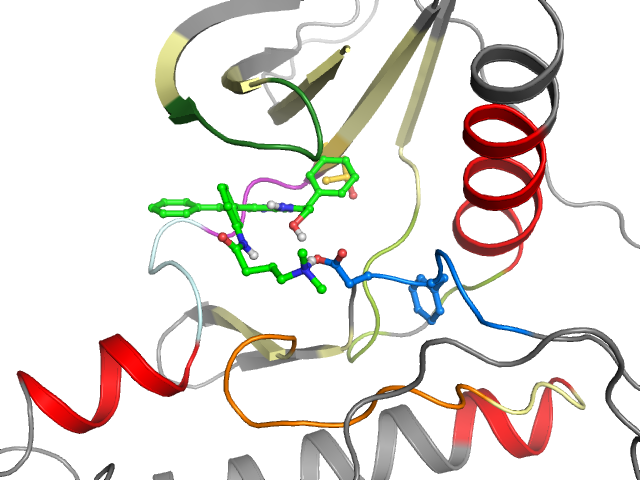 The orthosteric binding pocket