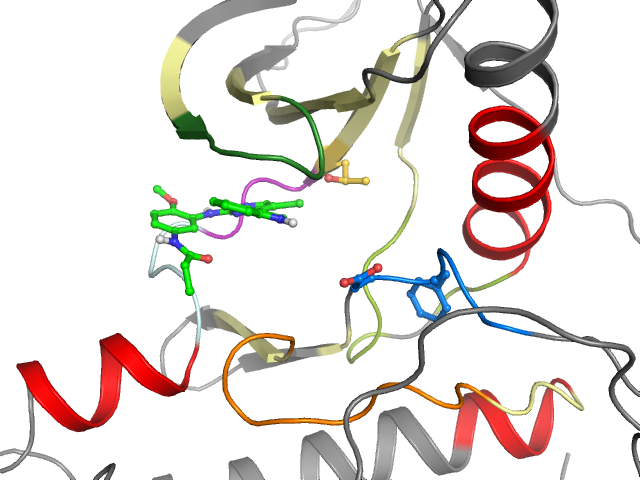 The orthosteric binding pocket