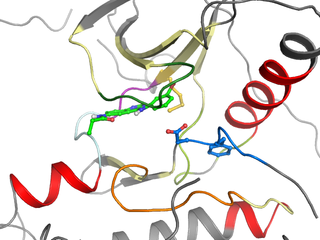 The orthosteric binding pocket