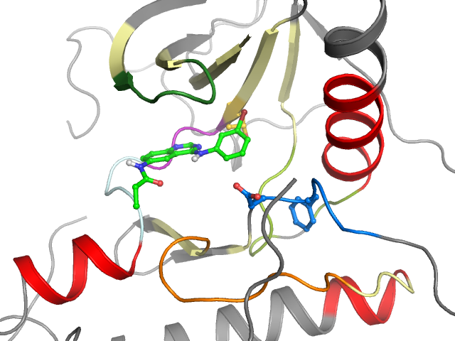 The orthosteric binding pocket