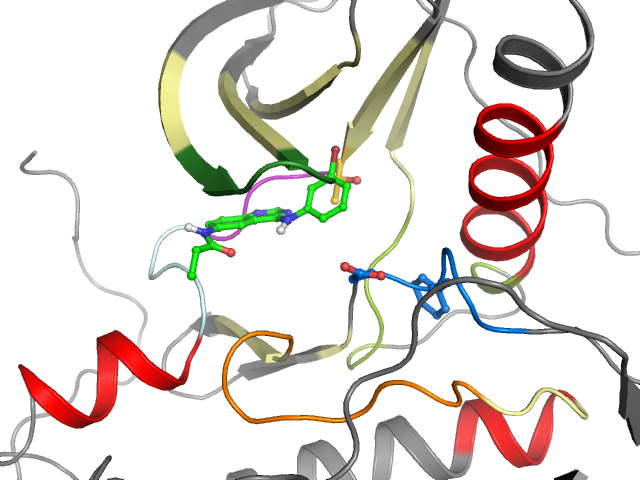 The orthosteric binding pocket