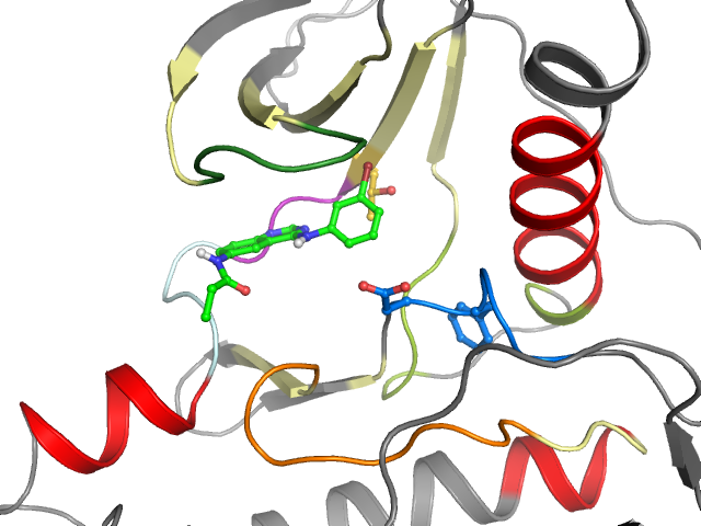 The orthosteric binding pocket
