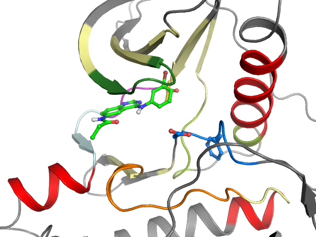 The orthosteric binding pocket