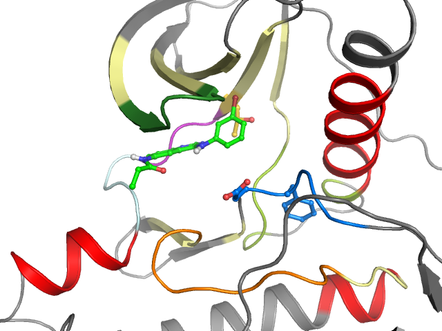 The orthosteric binding pocket