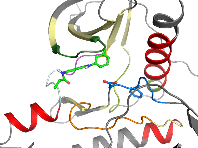 The orthosteric binding pocket