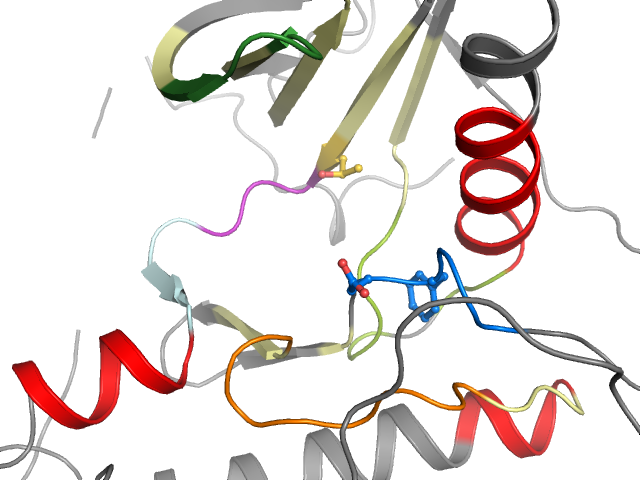 The orthosteric binding pocket