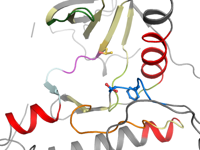 The orthosteric binding pocket