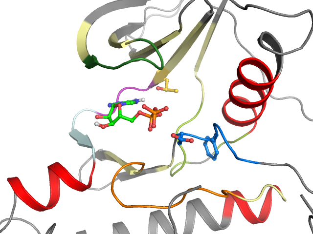 The orthosteric binding pocket