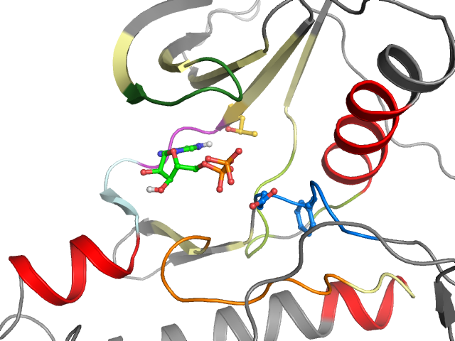 The orthosteric binding pocket
