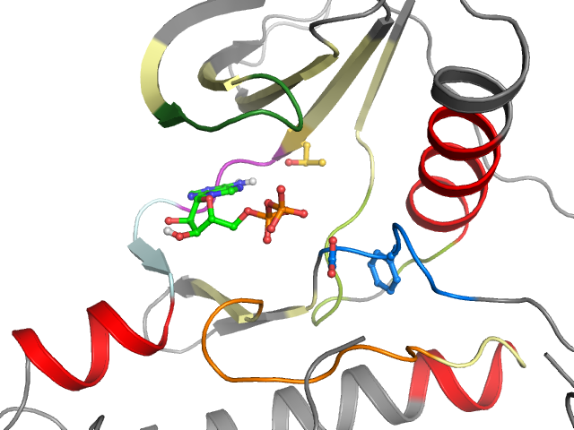 The orthosteric binding pocket