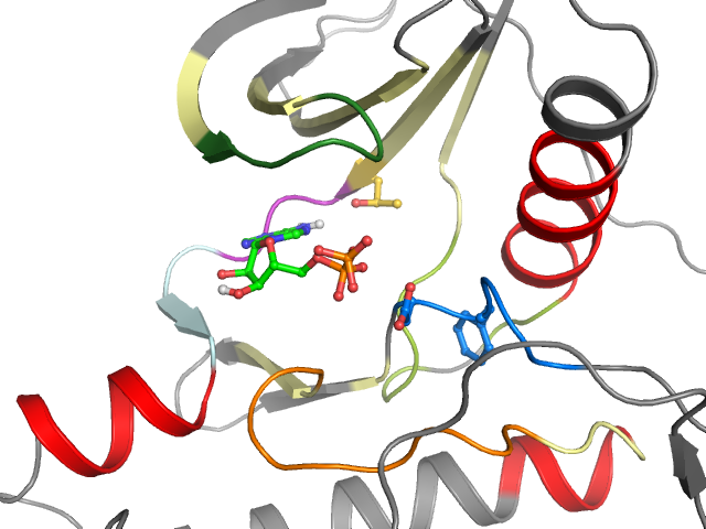 The orthosteric binding pocket