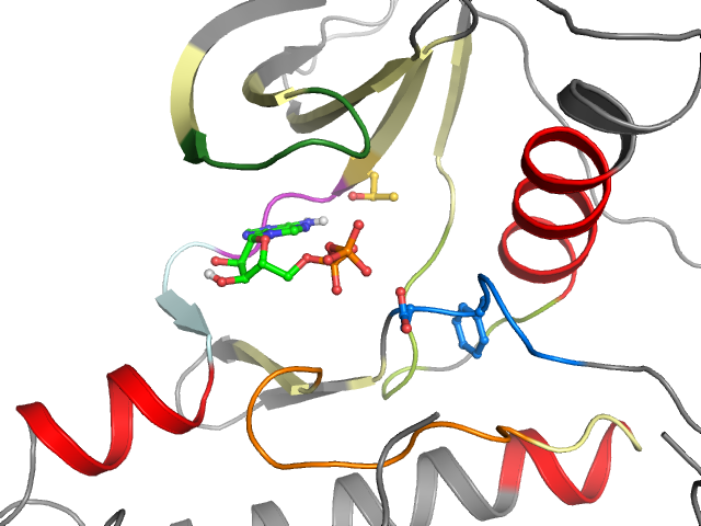 The orthosteric binding pocket