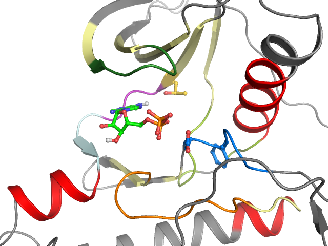 The orthosteric binding pocket