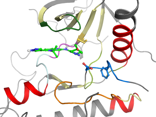 The orthosteric binding pocket