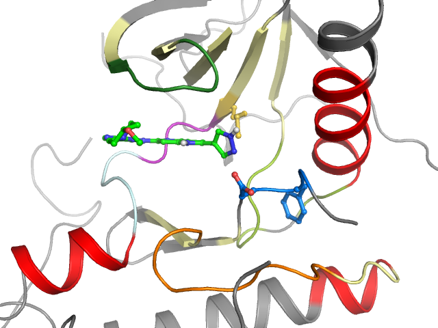 The orthosteric binding pocket