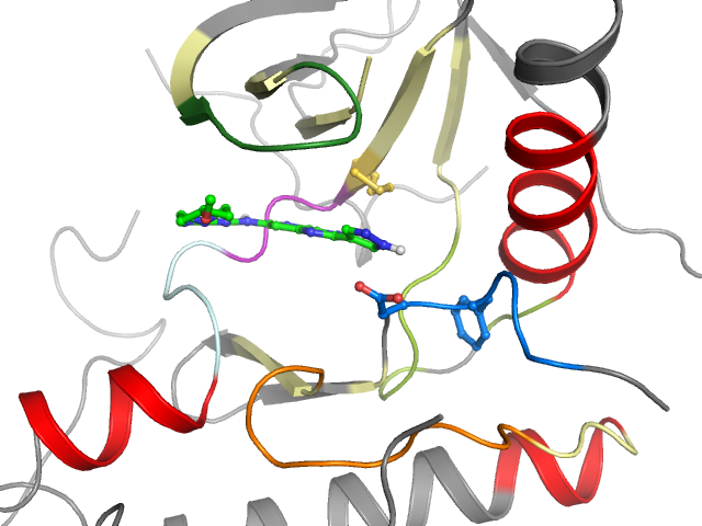 The orthosteric binding pocket
