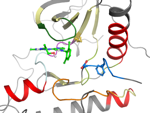 The orthosteric binding pocket