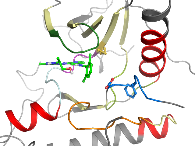 The orthosteric binding pocket
