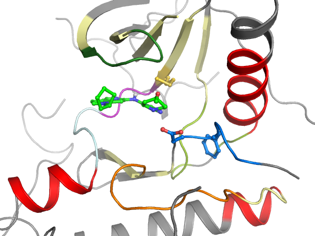 The orthosteric binding pocket