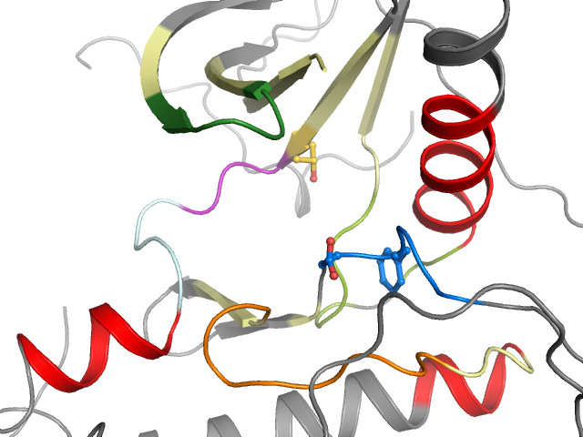 The orthosteric binding pocket