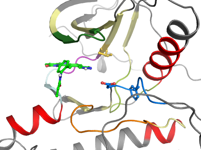 The orthosteric binding pocket