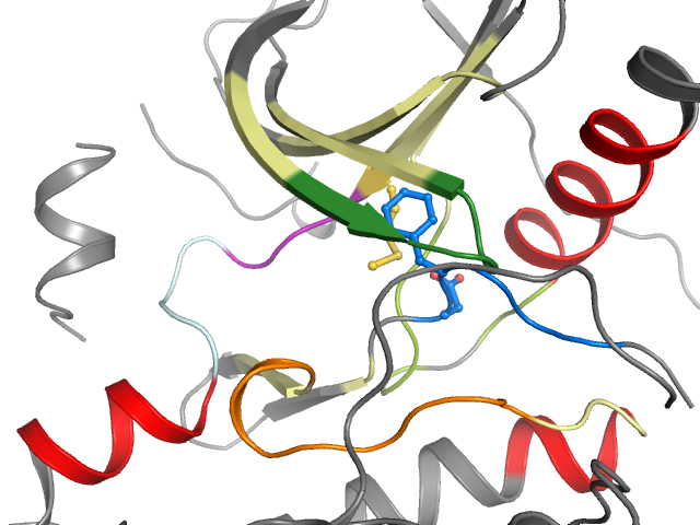 The orthosteric binding pocket